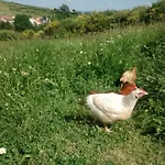 Фермерский дом Casarao Dos Reis *