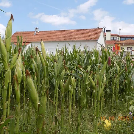 Gospodarstwo agroturystyczne Casarao Dos Reis *