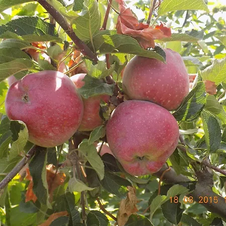 Casarao Dos Reis