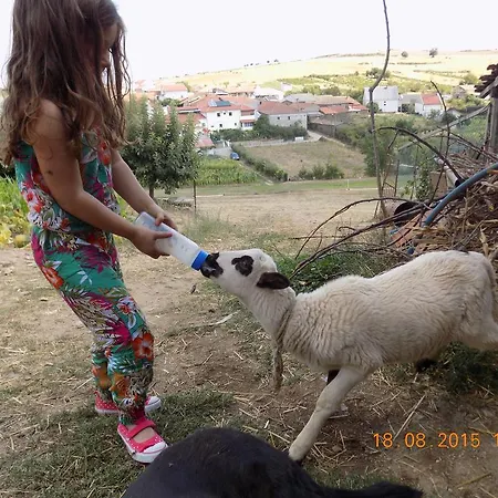 Farm stay Casarao Dos Reis *