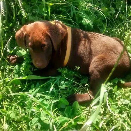 Farm stay Casarao Dos Reis Caravela