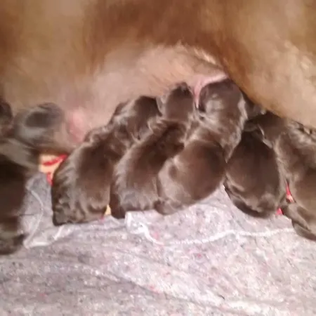 Casarao Dos Reis Gospodarstwo agroturystyczne