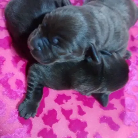 Farm stay Casarao Dos Reis Caravela