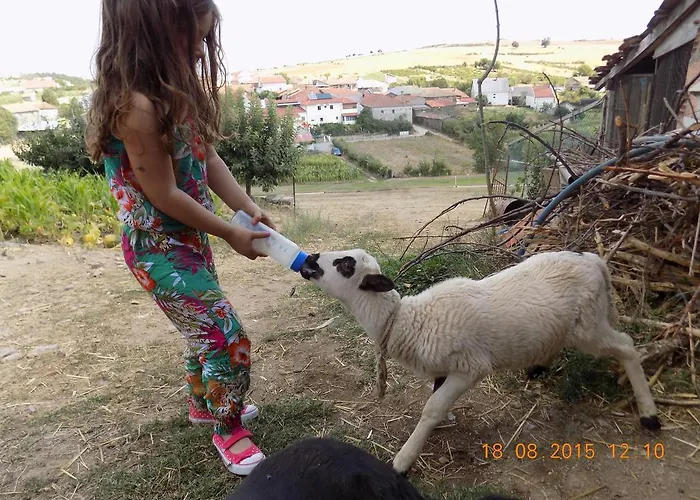 Gospodarstwo agroturystyczne Casarao Dos Reis *